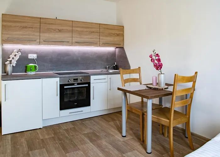 Kurojedy Apartment Bor